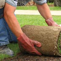  landscape crew laying sod